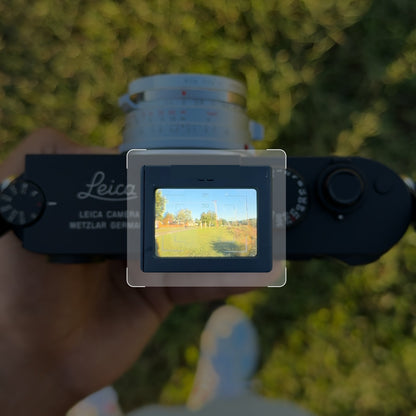 Optical Waist Level Viewfinder