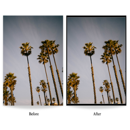 Film Frames Pack (14 LR Frames)