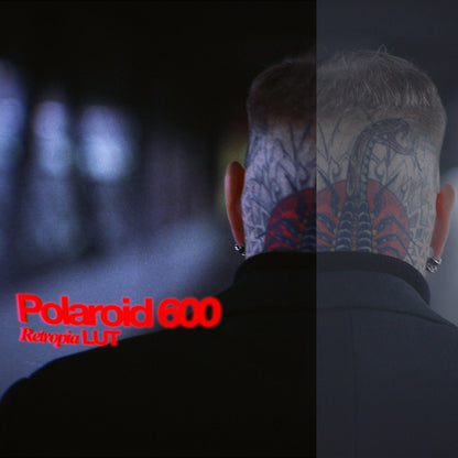 Film Emulation LUT Pack (12 Video LUTS)