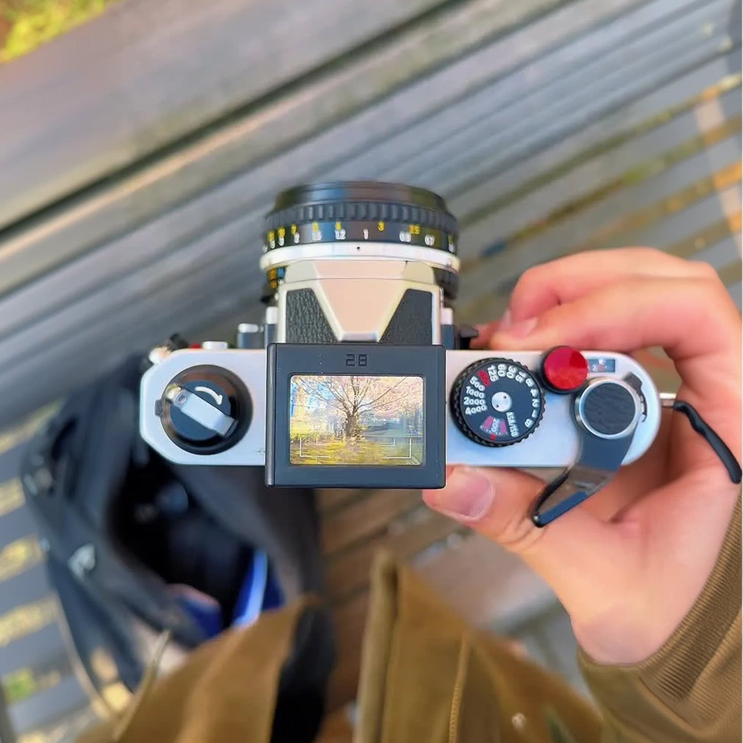 Optical Waist Level Viewfinder